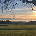 Gruener Baum 