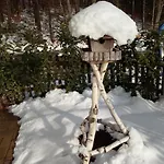 Gruener Baum 