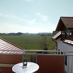 Gruener Baum 