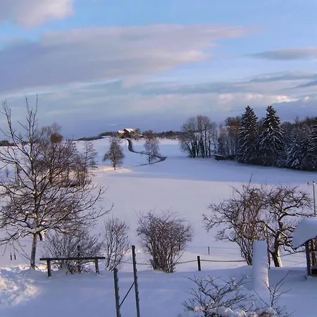 Апартаменты Gruener Baum 