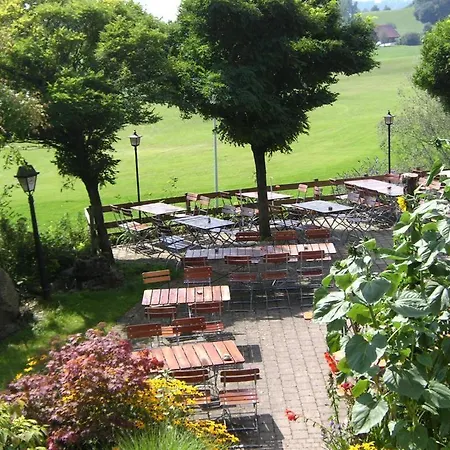 Grüner Baum Kongo * Amtzell