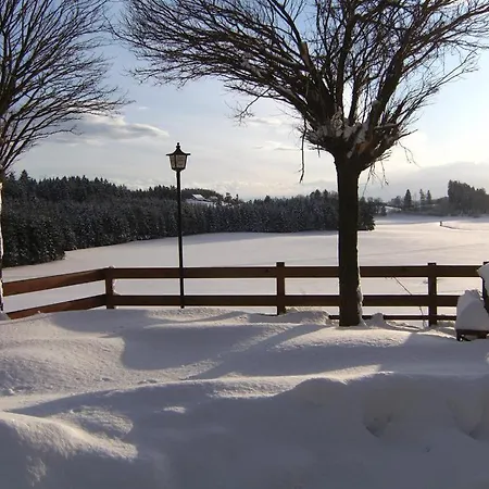 Апартаменты Gruener Baum 