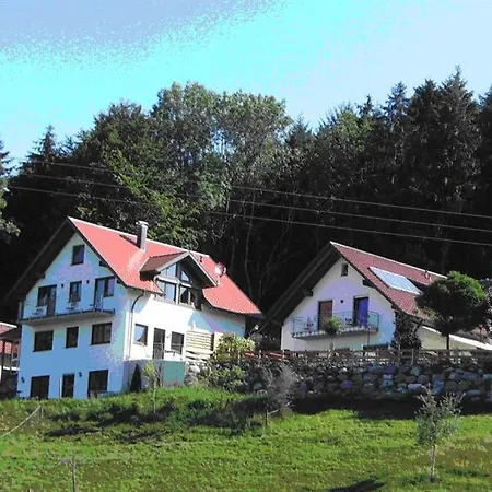 Grüner Baum Kongo * Amtzell