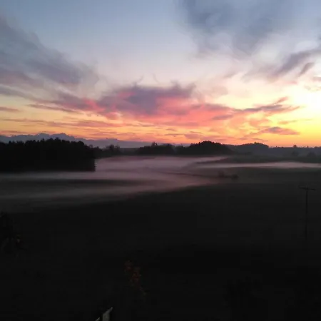 Grüner Baum Kongo Apartamento