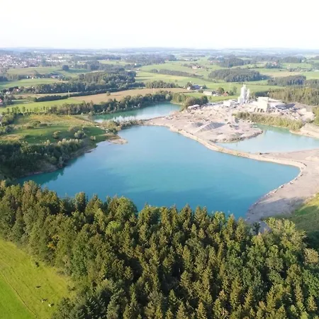 Grüner Baum Kongo *