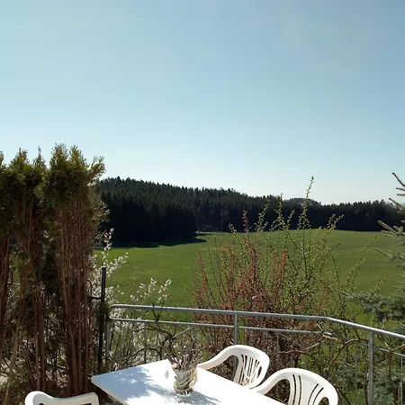 Grüner Baum Kongo Konukevi
