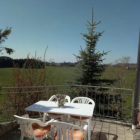 Grüner Baum Kongo Konukevi Amtzell